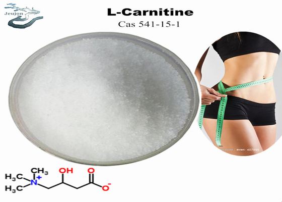 RL Carnitine Powder สำหรับการลดน้ำหนัก CAS 541-15-1 Belly Fat Burner Powder