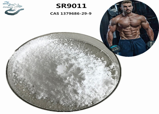 Gym Powder Sarm อาหารเสริม การสร้างร่างกาย SR9011 CAS 1379686-29-9 สําหรับสร้างกล้ามเนื้อ