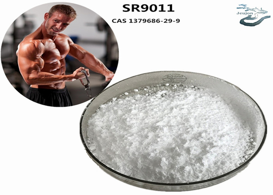 SR9011 Sarms การเผาผลาญไขมัน Gym Powder CAS 1379686-29-9 อาหารเสริมสร้างร่างกาย
