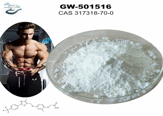 GW 501516 GSK-516 ซาร์มส์ ไกม์ปู๊ด บอดี้บิลดิ้ง CAS 317318-70-0
