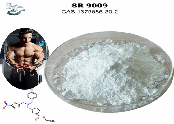 สตินาโบลิก SR-9009 สารเสริม สตินาโบลิก การสร้างร่างกาย