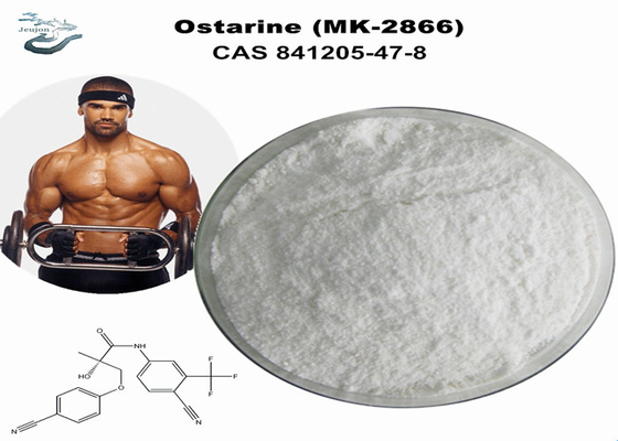 สารผงออกกําลังกาย CAS 841205-47-8 ซาร์มดิบ Enobosarm Mk 2866 Ostarine Enobosarm สําหรับลดน้ําหนัก